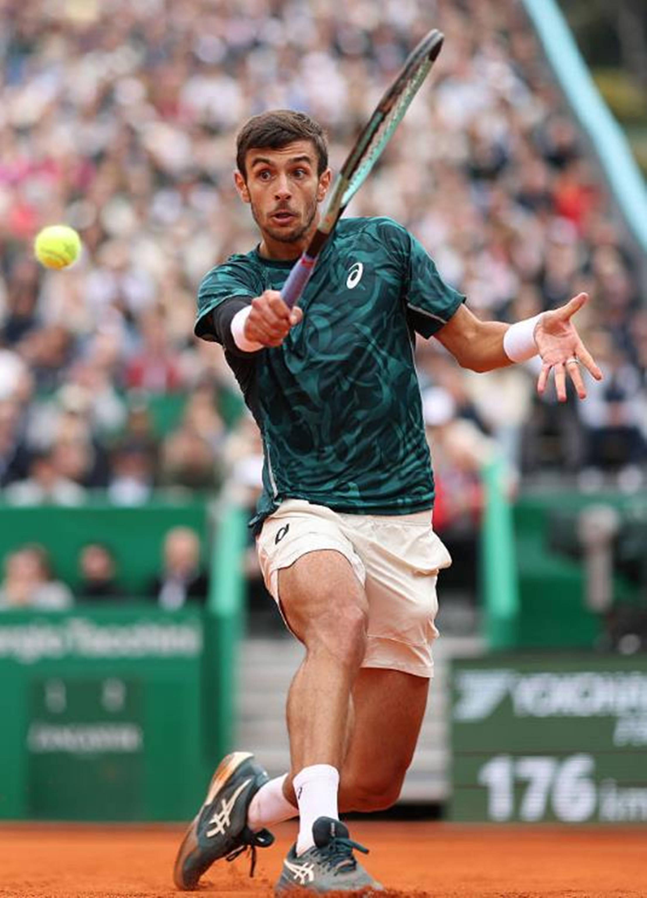 帕尔默的领 帕尔默的领